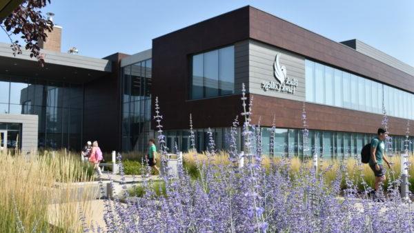 a building with purple flowers in front of it