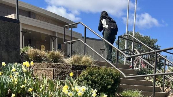 a person walking up stairs in front of a building